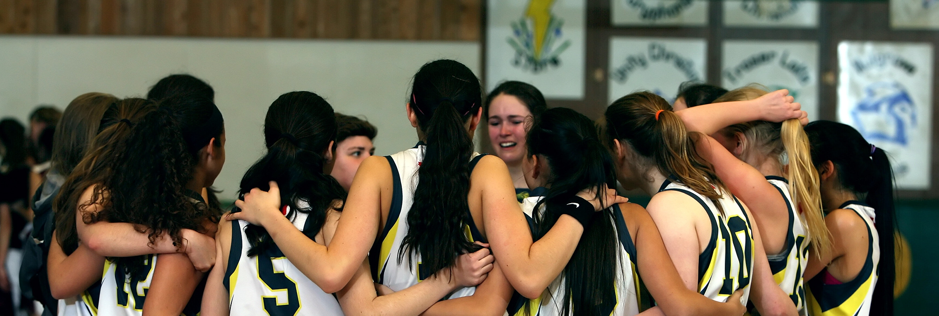 レディースコットンポロシャツ